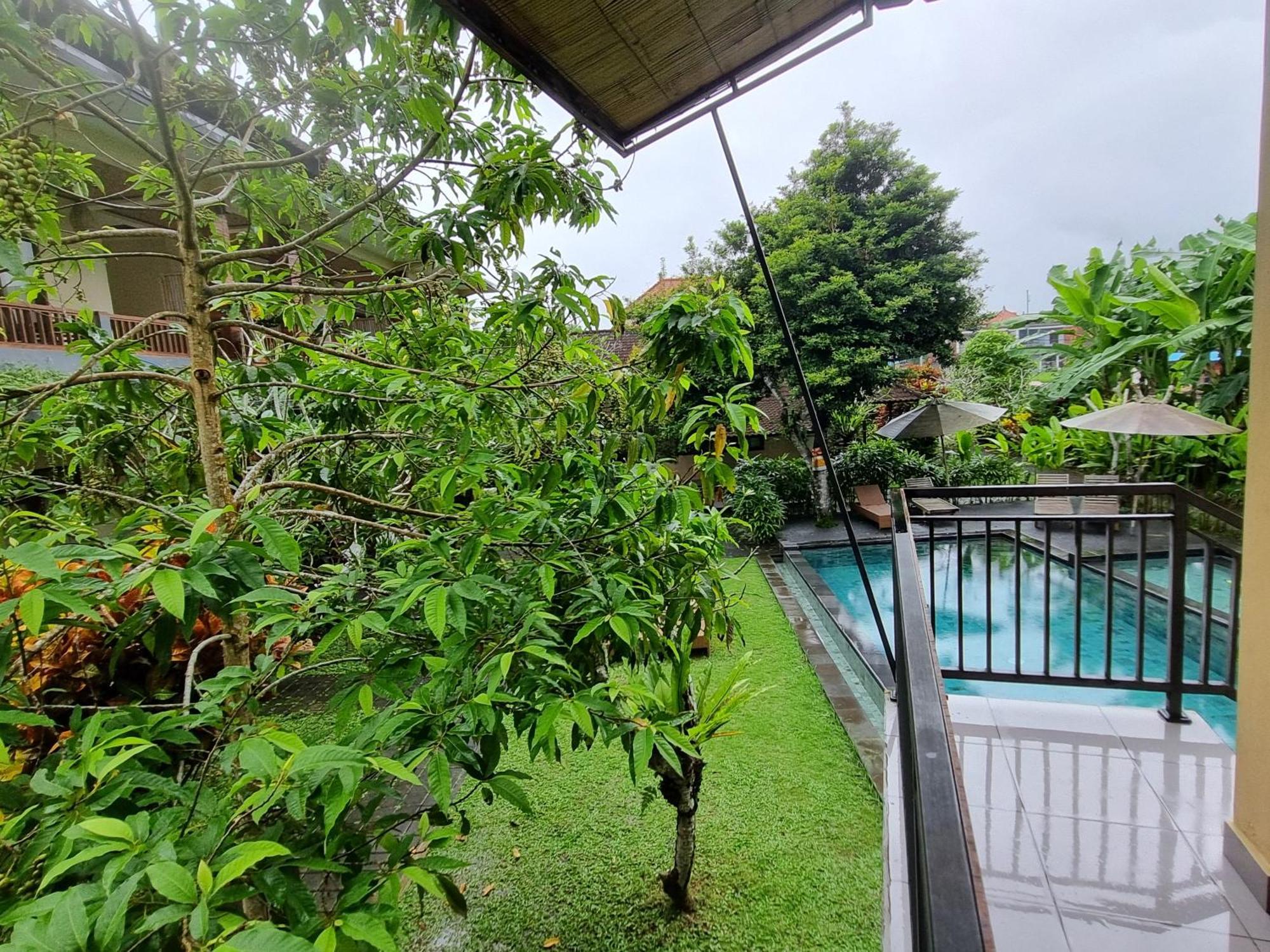 Nyoman Sandi Guest House Ubud Exteriör bild