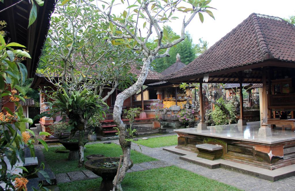 Nyoman Sandi Guest House Ubud Exteriör bild